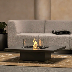 EcoSmart Fire